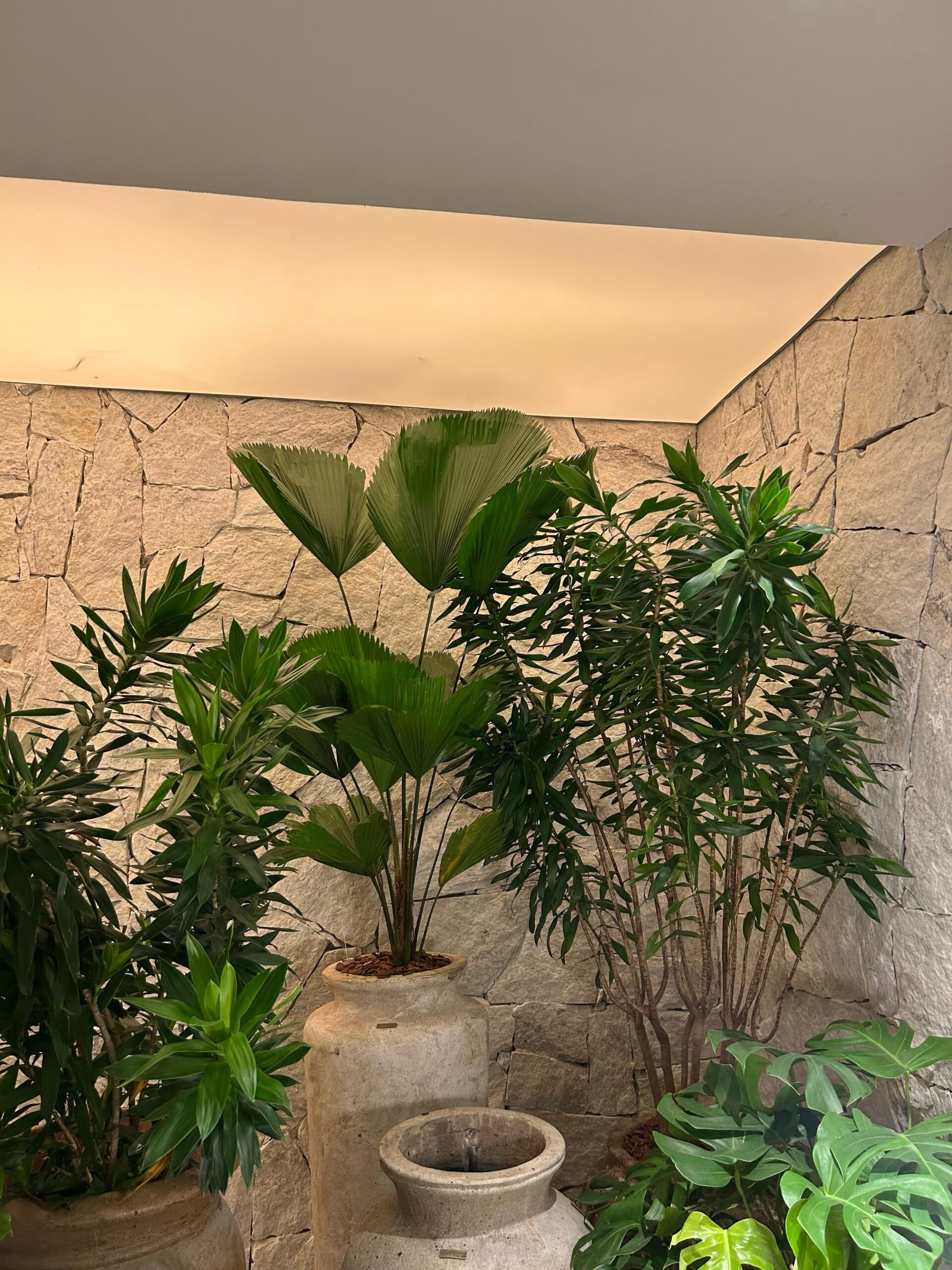 Flagstones - Image 5