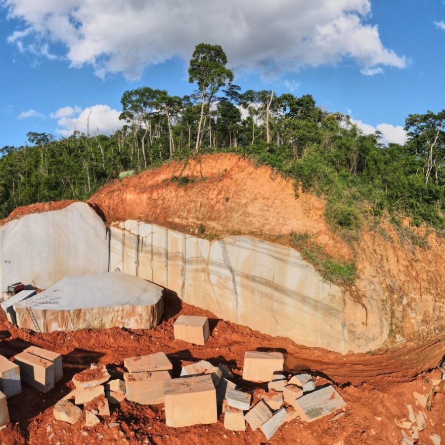 8134769c-8914-4fb8-ad5e-062a54d427c9 (1) (1)